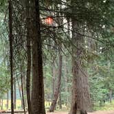 Review photo of Round Lake State Park Campground by Tree V., September 19, 2021