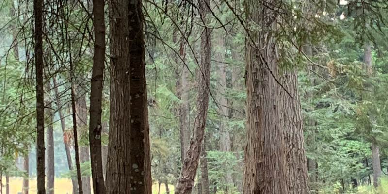 Camper submitted image from Round Lake State Park Campground