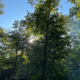 Sunrise through the Canopy of Trees at Ridgewood Campground, Stony Creek Park - Shelby Twp. MI