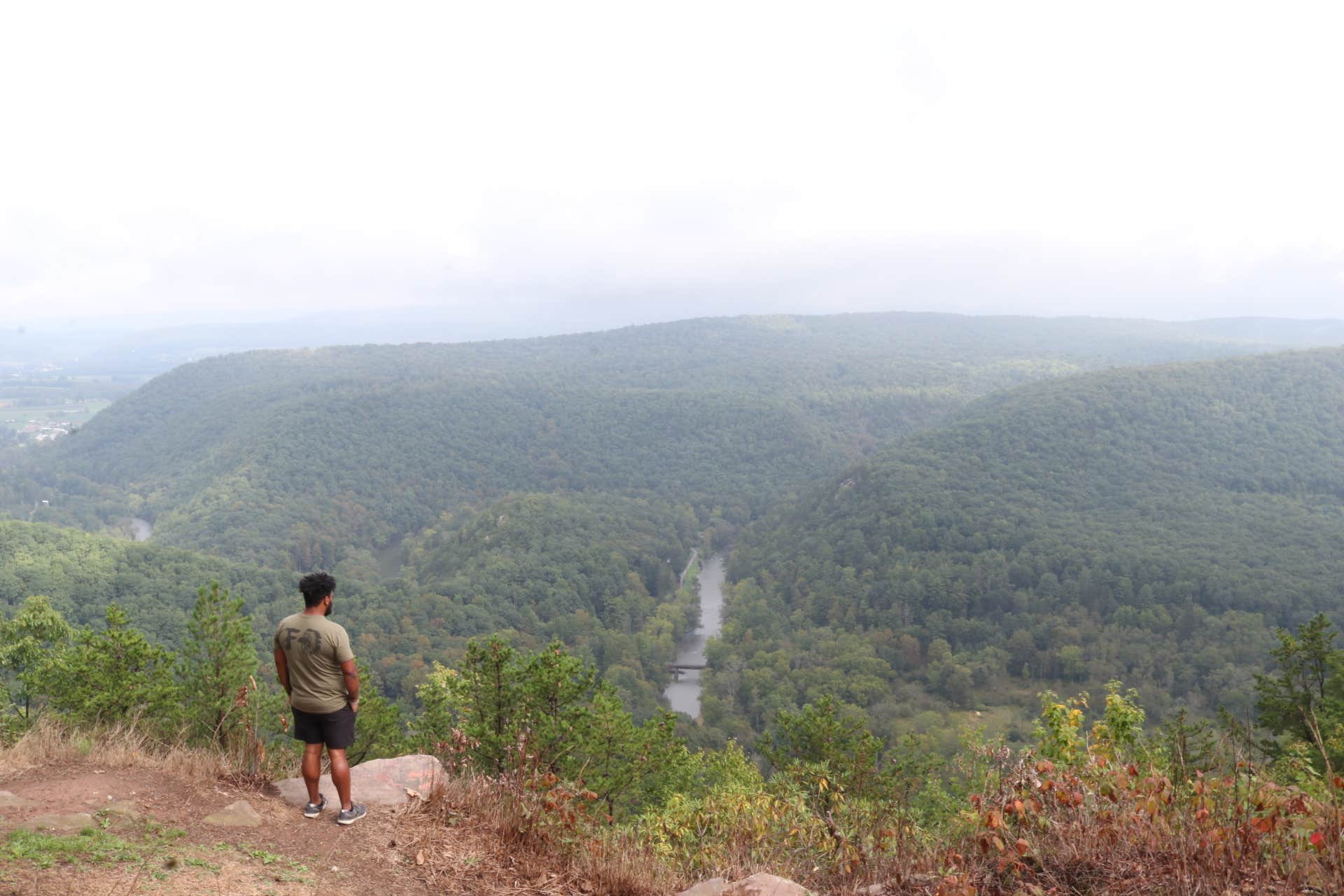 Camper submitted image from Bald Eagle State Forest - 5