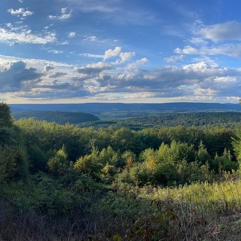 Bald Eagle State Forest Camping | The Dyrt