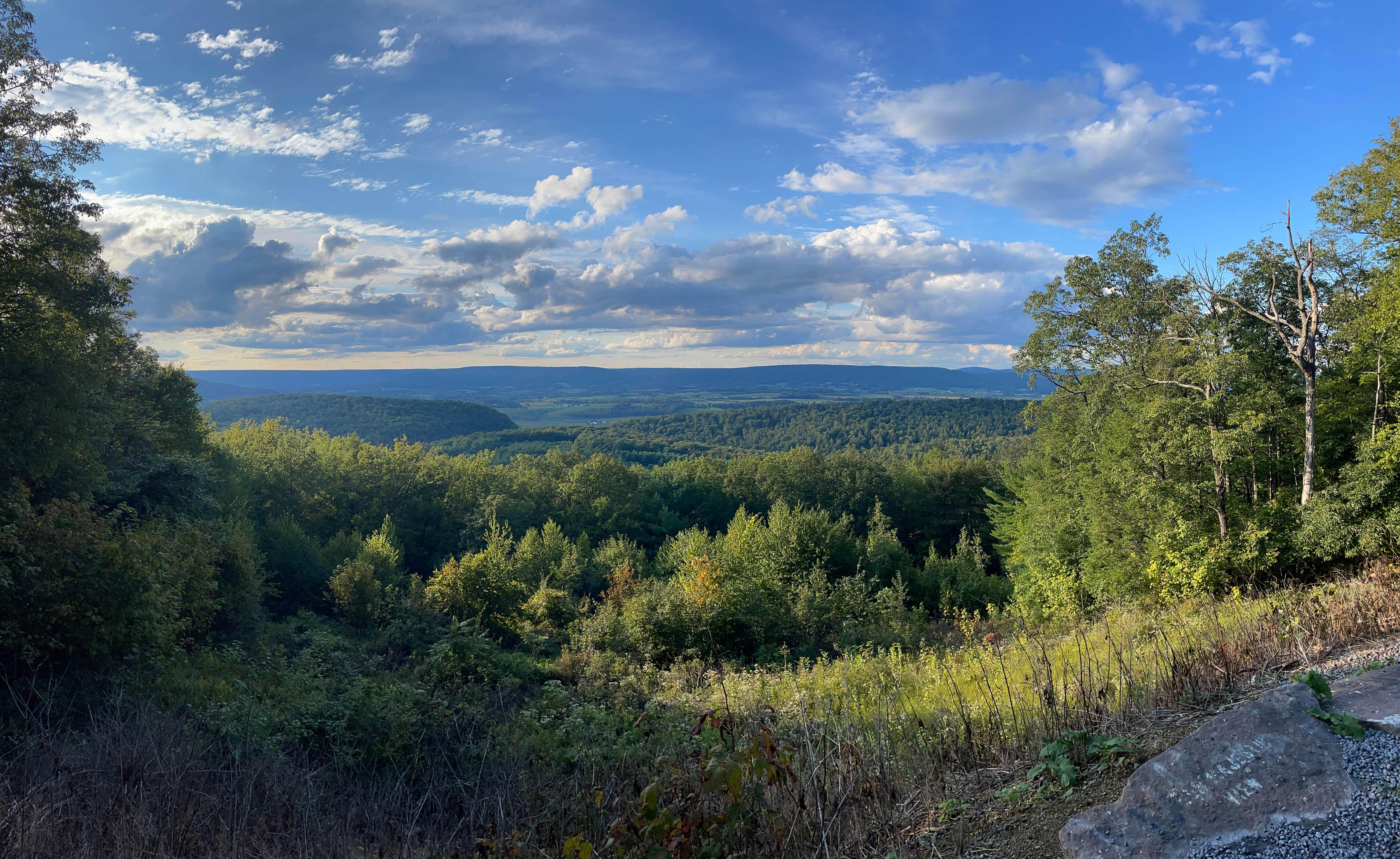 Camper submitted image from Bald Eagle State Forest - 2