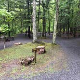 Review photo of Poe Paddy State Park Campground by Joanna H., September 19, 2021