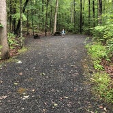 Review photo of Poe Paddy State Park Campground by Joanna H., September 19, 2021
