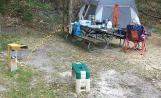 mike C.'s photo at Kalkaska RV Park & Campground near Alden, MI