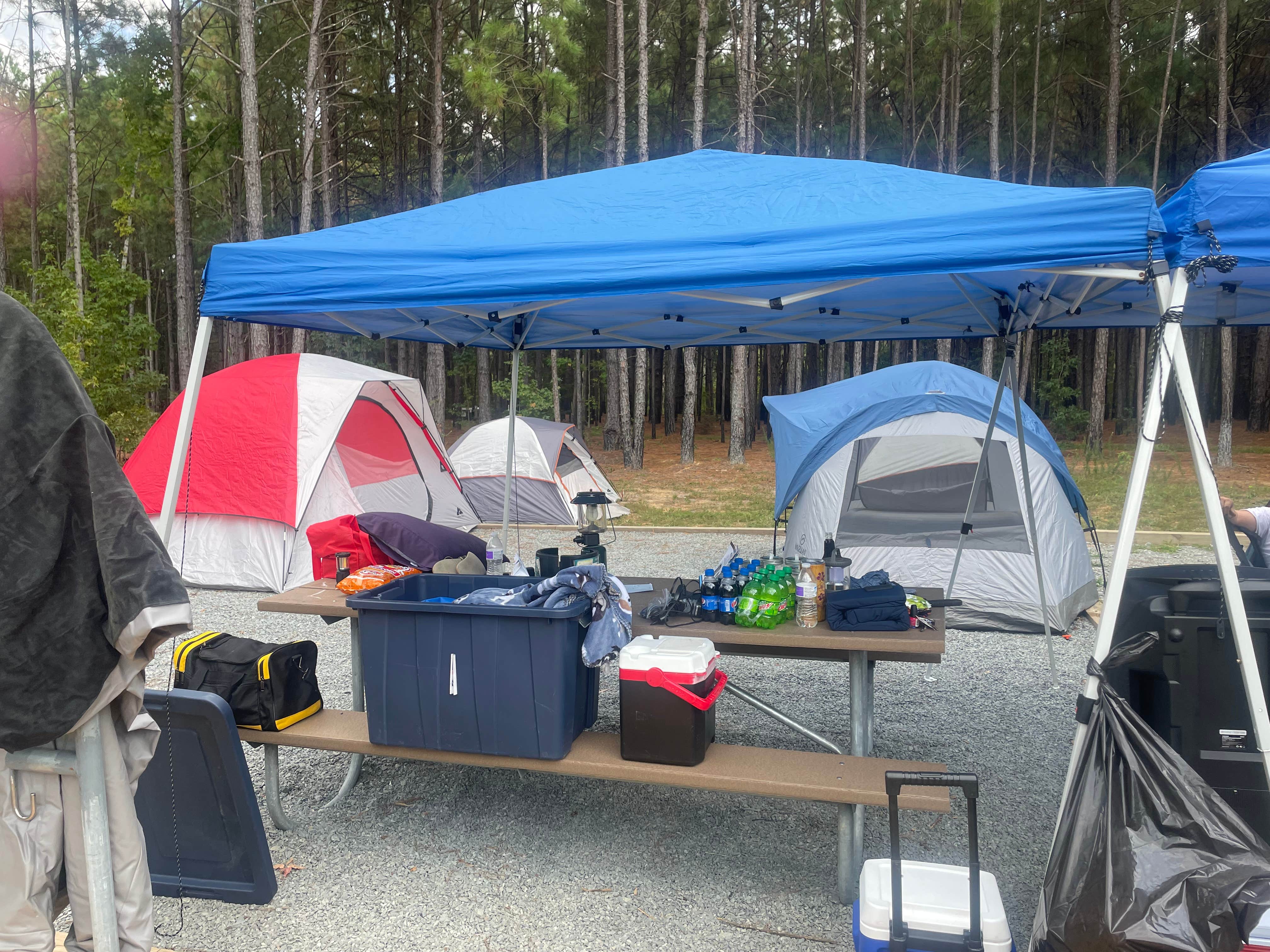 Stephanie J.'s photo at Moccasin Branch Campground — Raven Rock State Park near Erwin, NC
