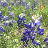 Review photo of Inks Lake State Park Campground by Jacob G., June 30, 2018
