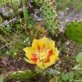 Review photo of Inks Lake State Park Campground by Jacob G., June 30, 2018
