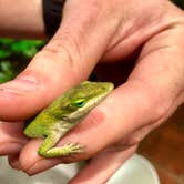Review photo of Inks Lake State Park Campground by Jacob G., June 30, 2018