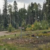 Review photo of DeMotte National Forest Campground by Greg L., September 19, 2021