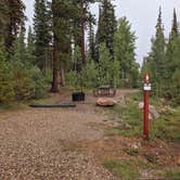 Review photo of DeMotte National Forest Campground by Greg L., September 19, 2021