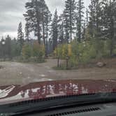 Review photo of DeMotte National Forest Campground by Greg L., September 19, 2021