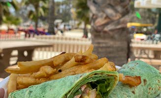 Momma H.'s photo of camping with pets at Doheny State Beach Campground near Irvine, CA