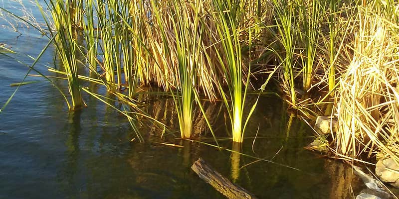 Camper submitted image from Lake Afton Park