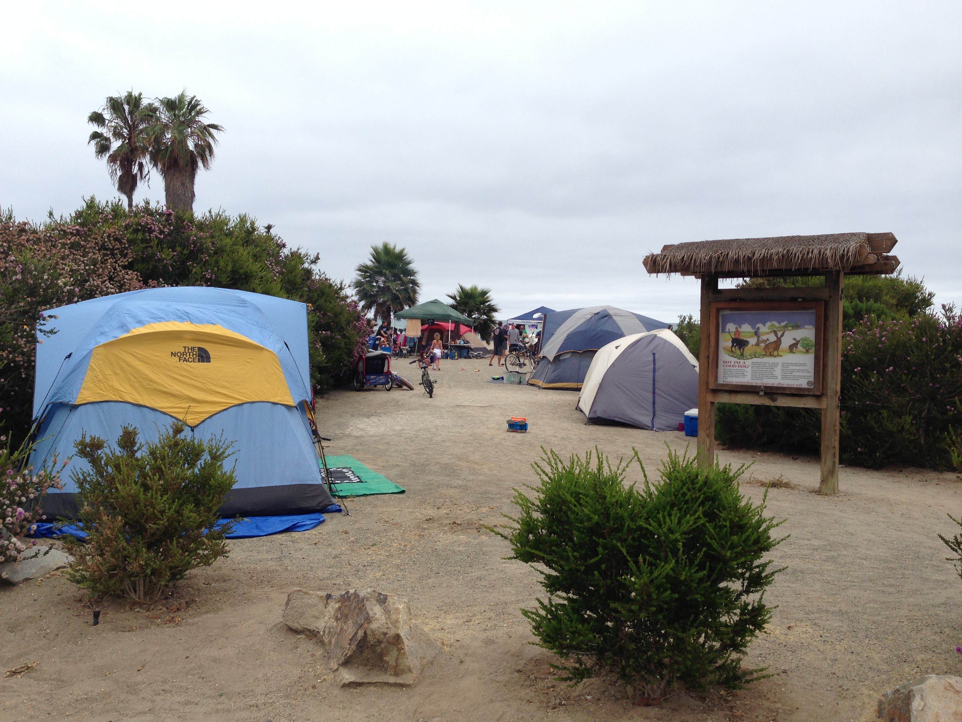 Momma H.'s photo at Doheny State Beach Campground near Santa Ana, CA