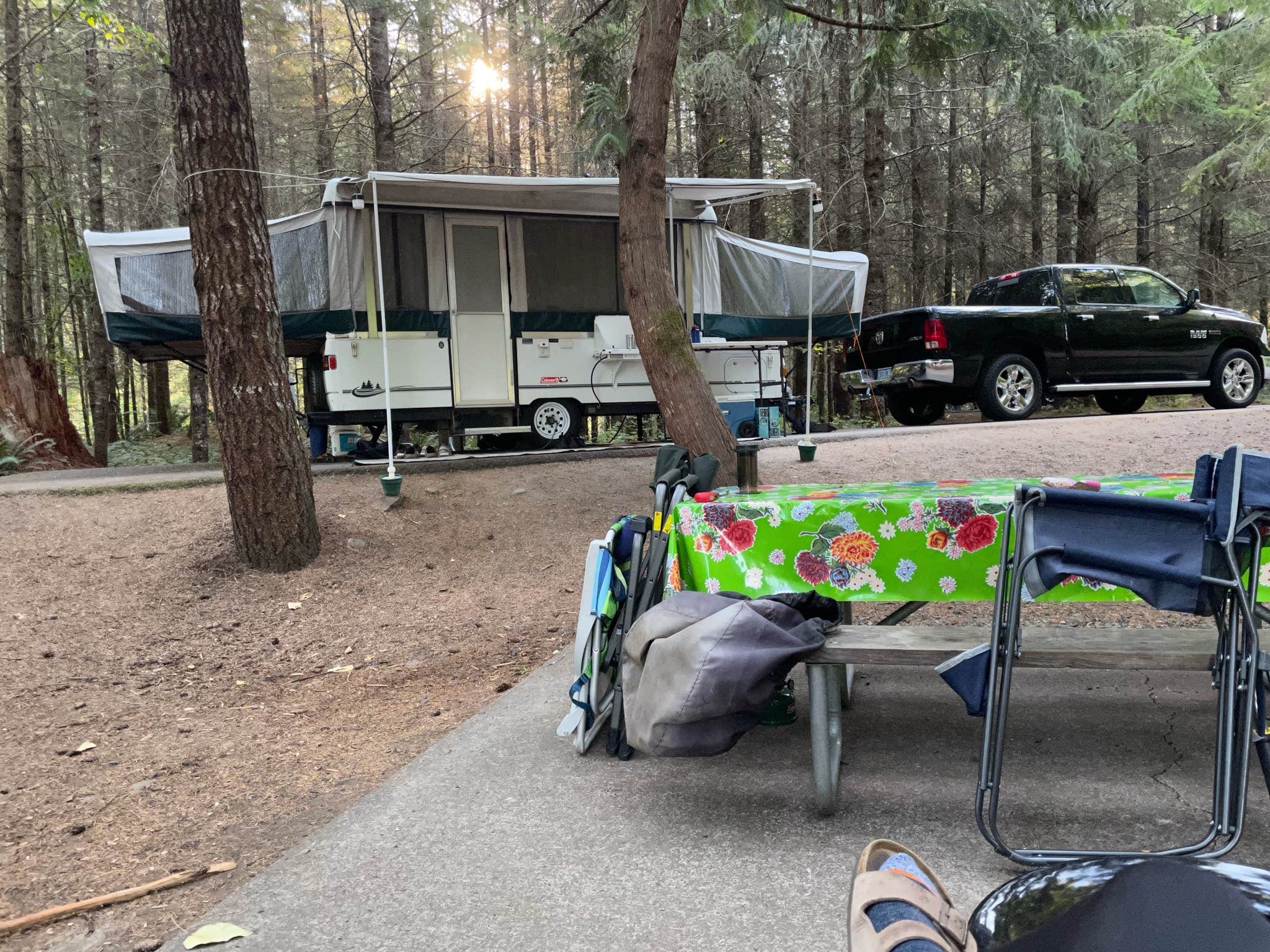 Brian P.'s photo at River Bend County Park in Oregon