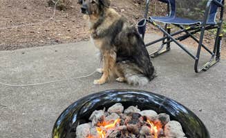 Brian P.'s photo of camping with pets at River Bend County Park in Oregon