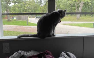 Laura Z.'s photo of camping with pets at Camp Reinberg near Twin Lakes, WI