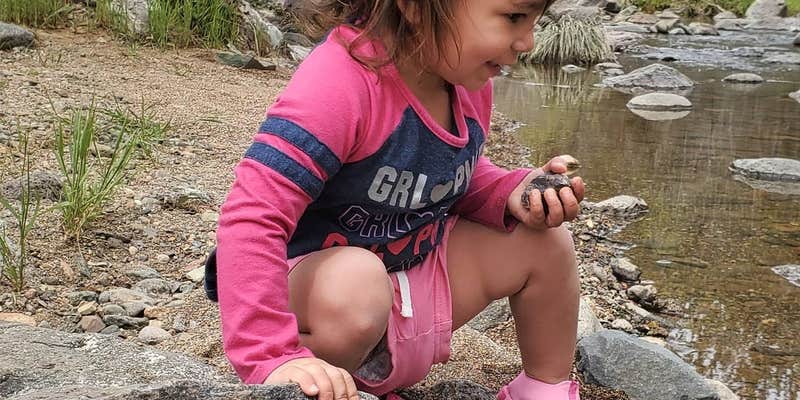 Camper submitted image from C C C (AZ) Tonto National Forest — Tonto National Forest