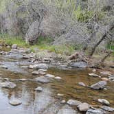 Review photo of C C C (AZ) Tonto National Forest — Tonto National Forest by B O., September 19, 2021