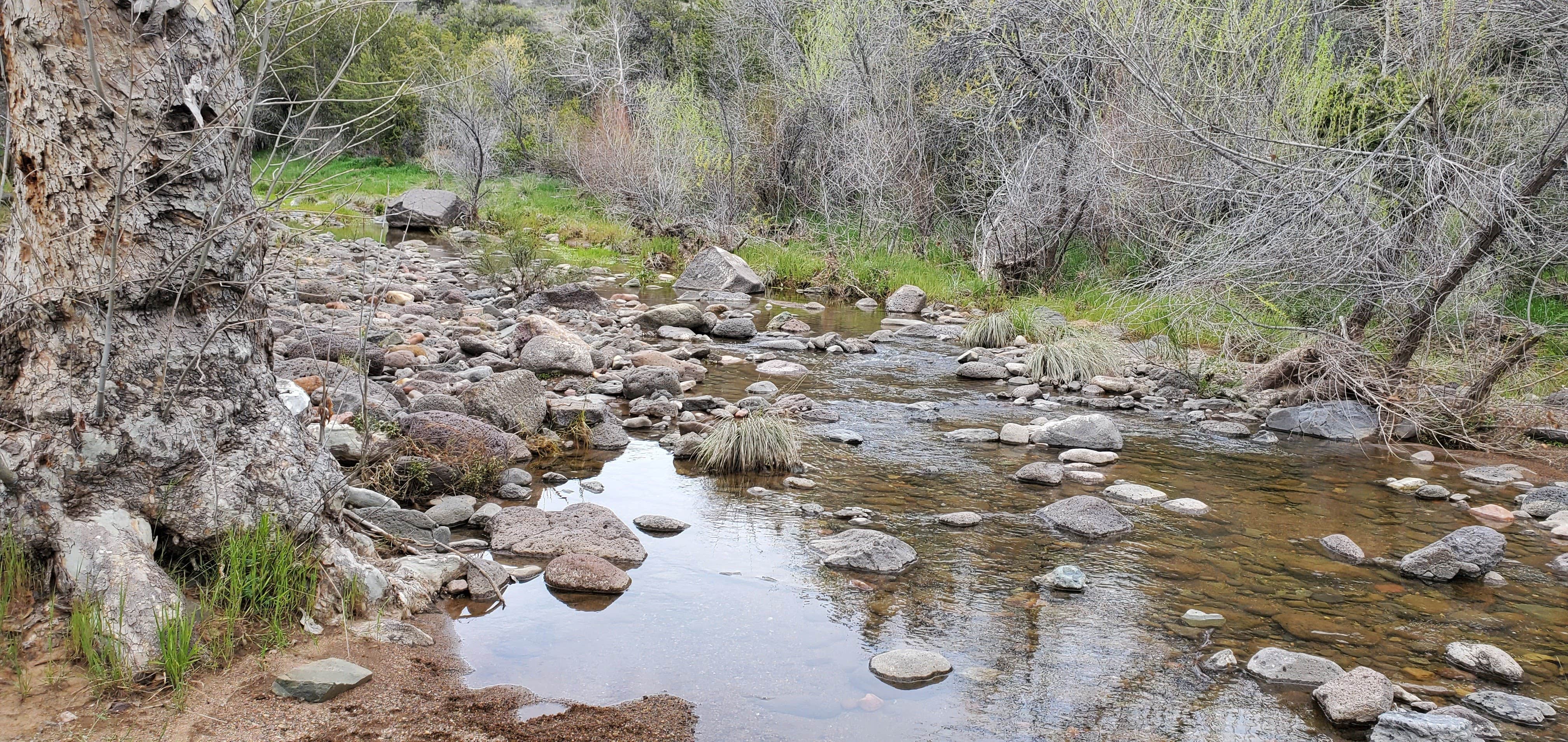 Camper submitted image from C C C (AZ) Tonto National Forest — Tonto National Forest - 5