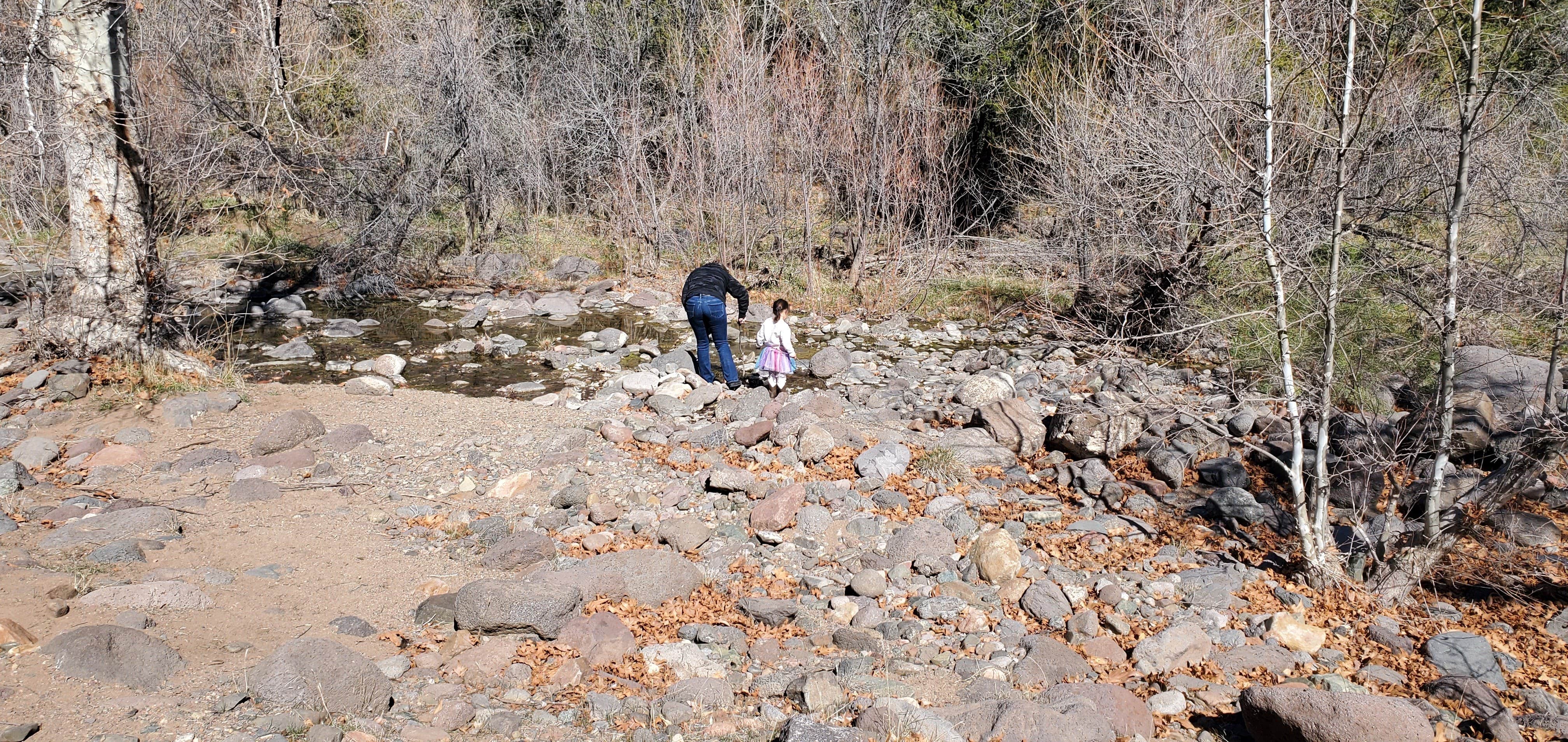 Camper submitted image from C C C (AZ) Tonto National Forest — Tonto National Forest - 3