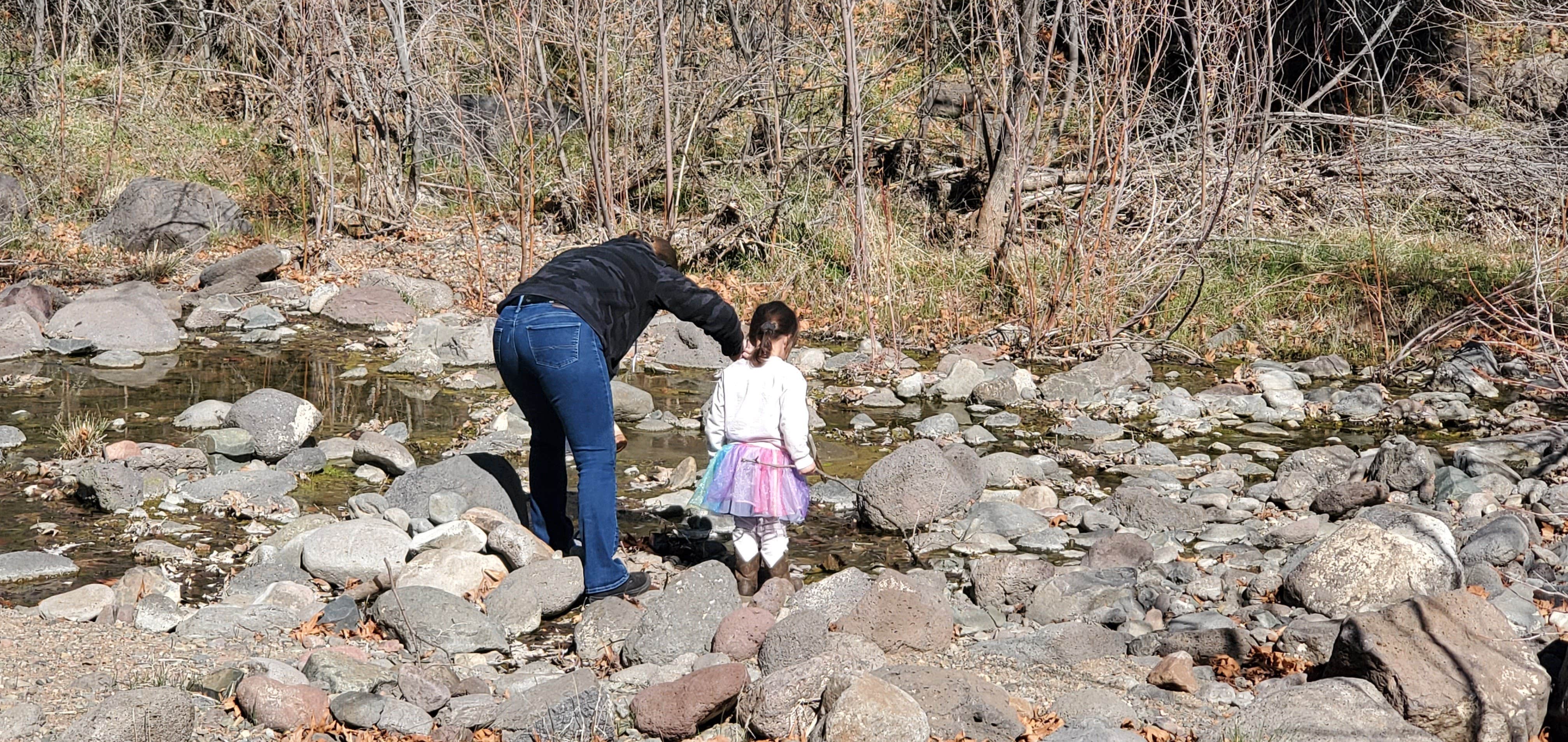 Camper submitted image from C C C (AZ) Tonto National Forest — Tonto National Forest - 2