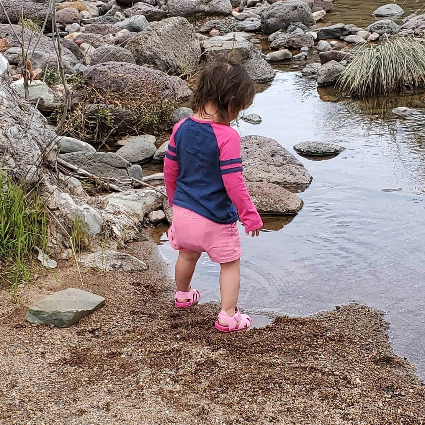 Camper submitted image from C C C (AZ) Tonto National Forest — Tonto National Forest - 5