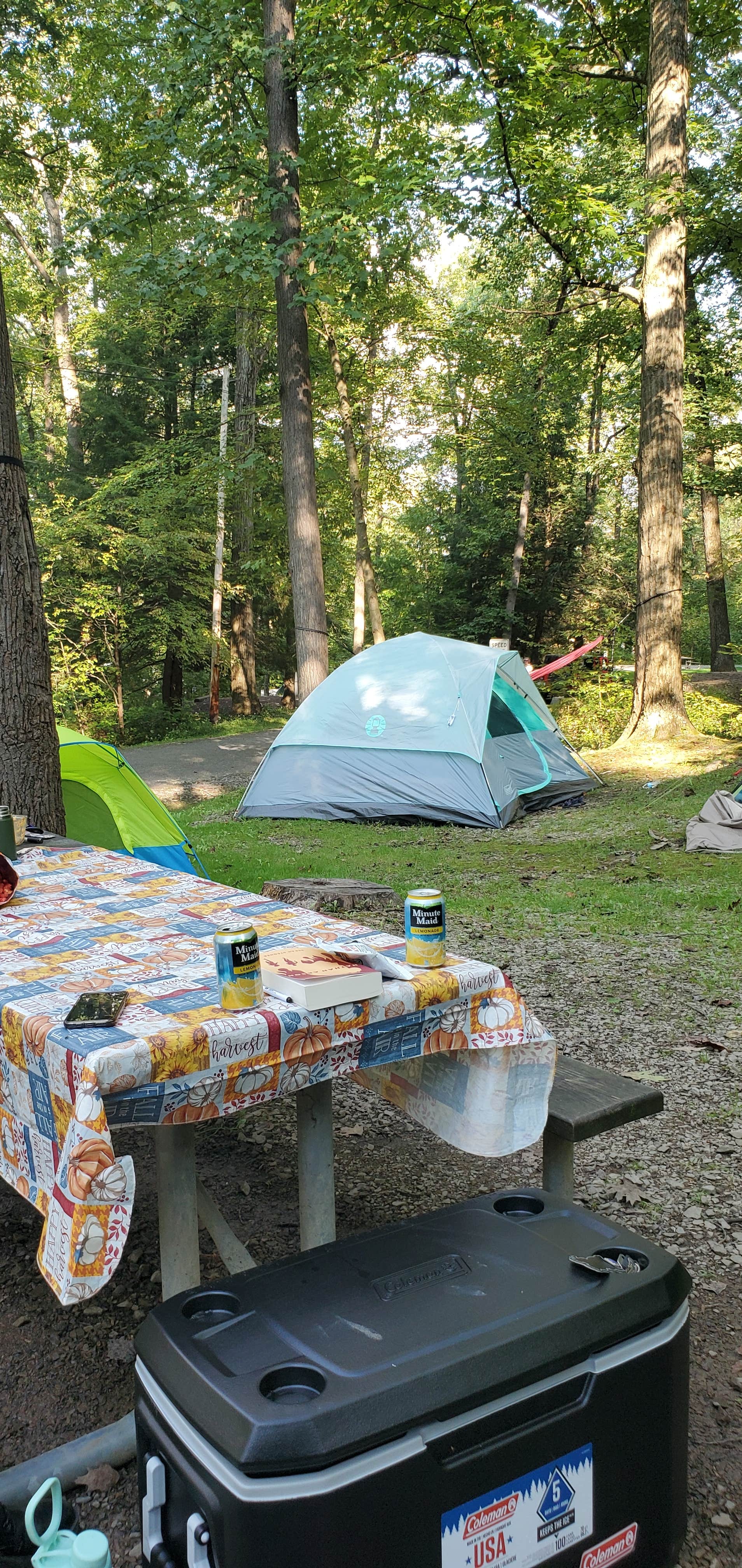 Patricia's photo at Keystone State Park Campground near Indiana, PA