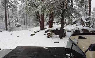 B O.'s photo at Crown King Area (Horsethief Basin lake) near Peoria, AZ