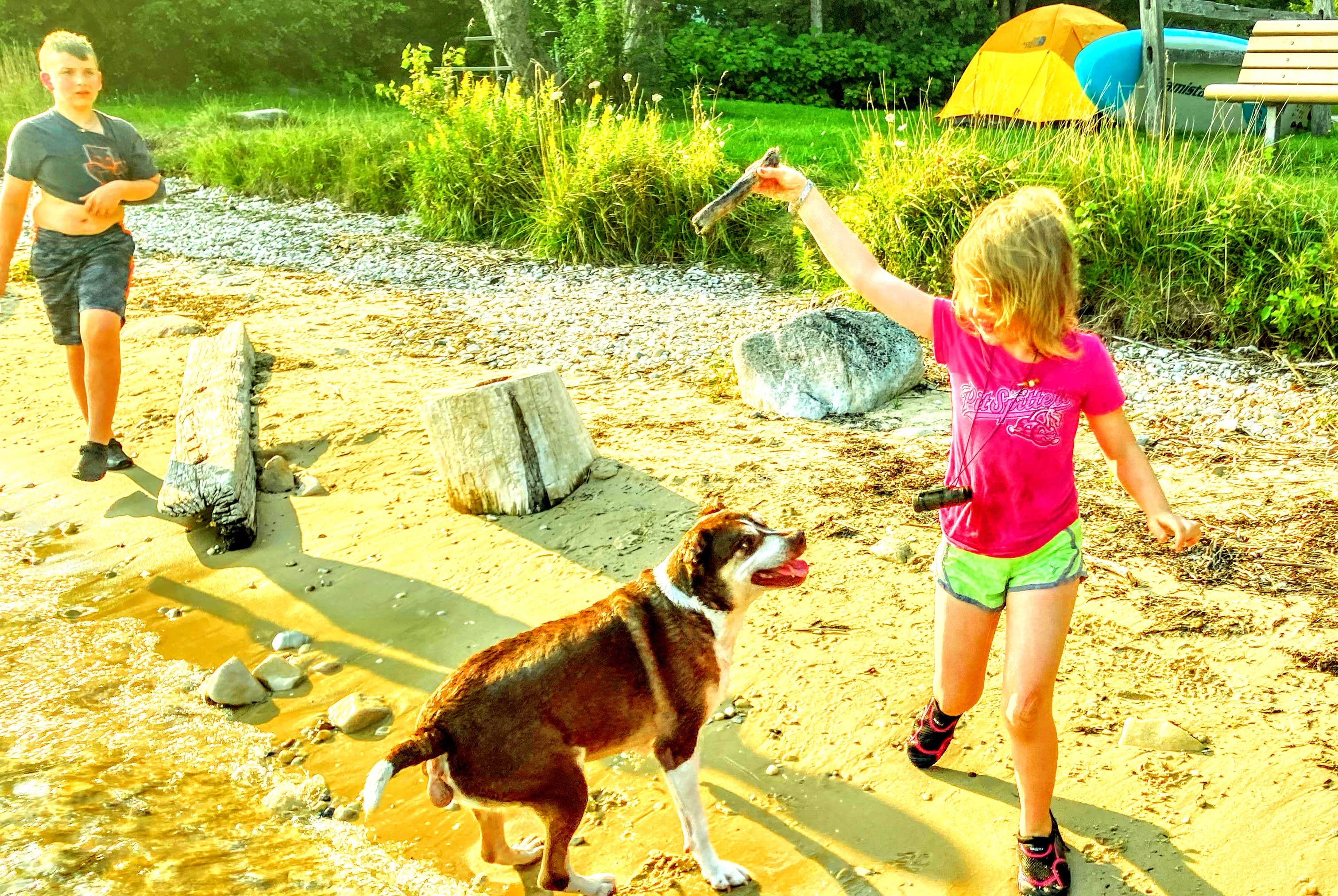 Ryan L T.'s photo of camping with pets at Straits State Park Campground near Mackinaw City, MI