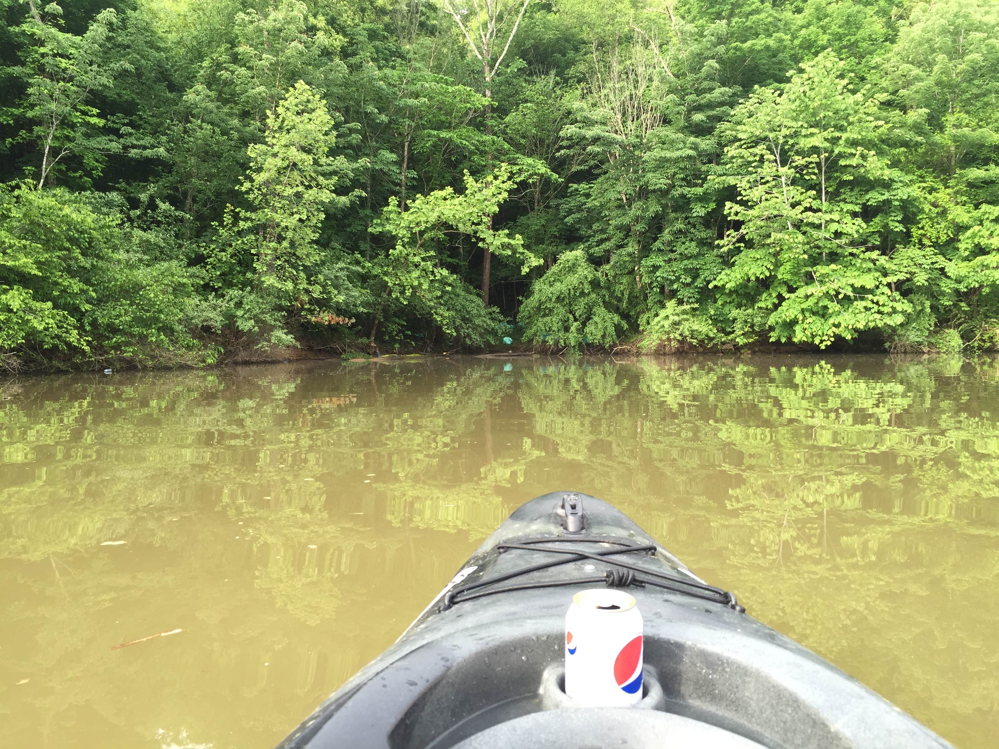 Camper submitted image from Four Coves Campground — Beech Fork State Park - 2