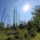 Review photo of Devoe Lake Rustic Campround — Rifle River Recreation Area by Melissa B., September 19, 2021