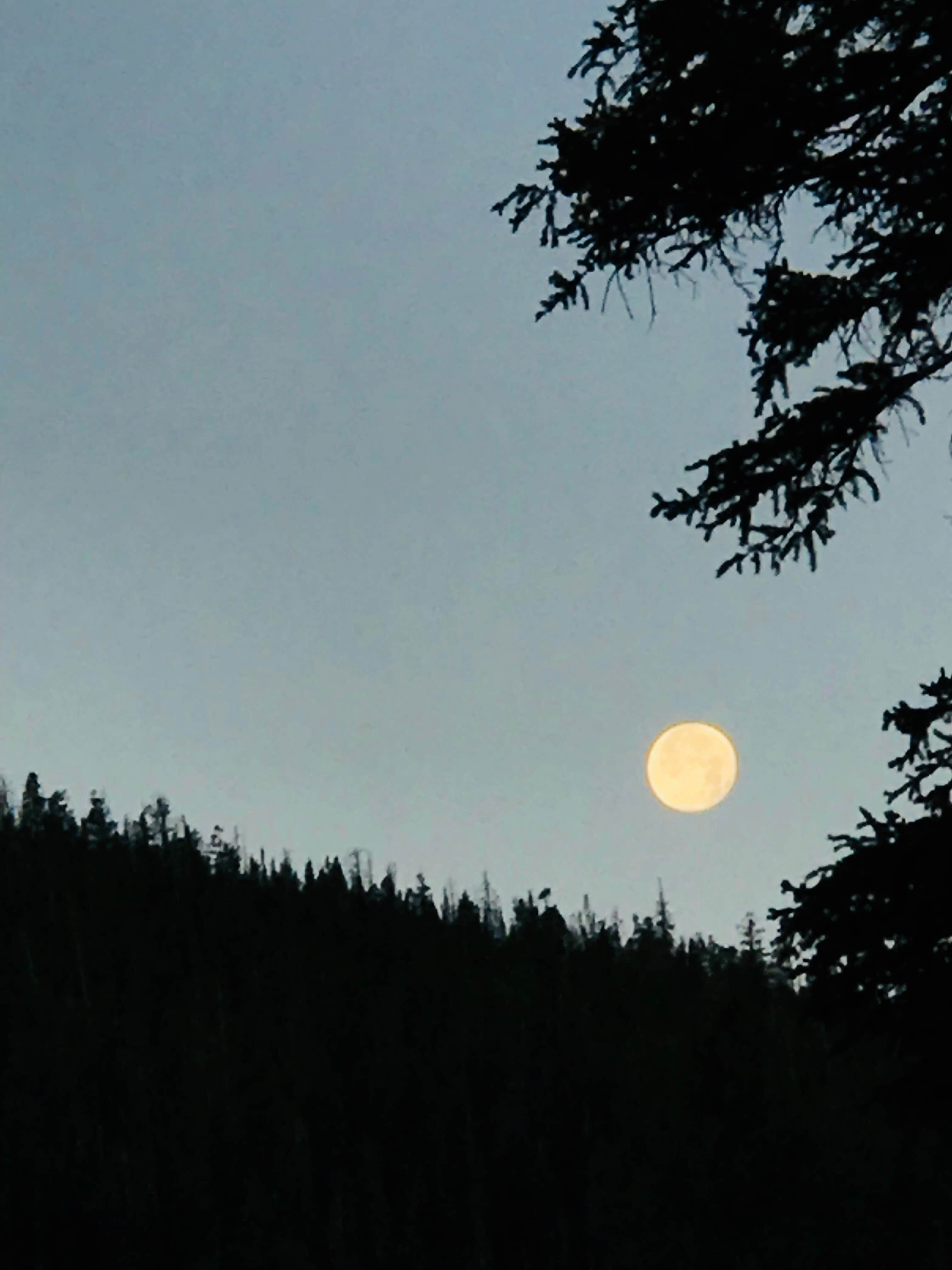 Camper submitted image from Cobblerest Campground — Uinta Wasatch Cache National Forest - 2