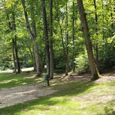 Review photo of Shawnee State Park Campground by Amanda S., September 19, 2021