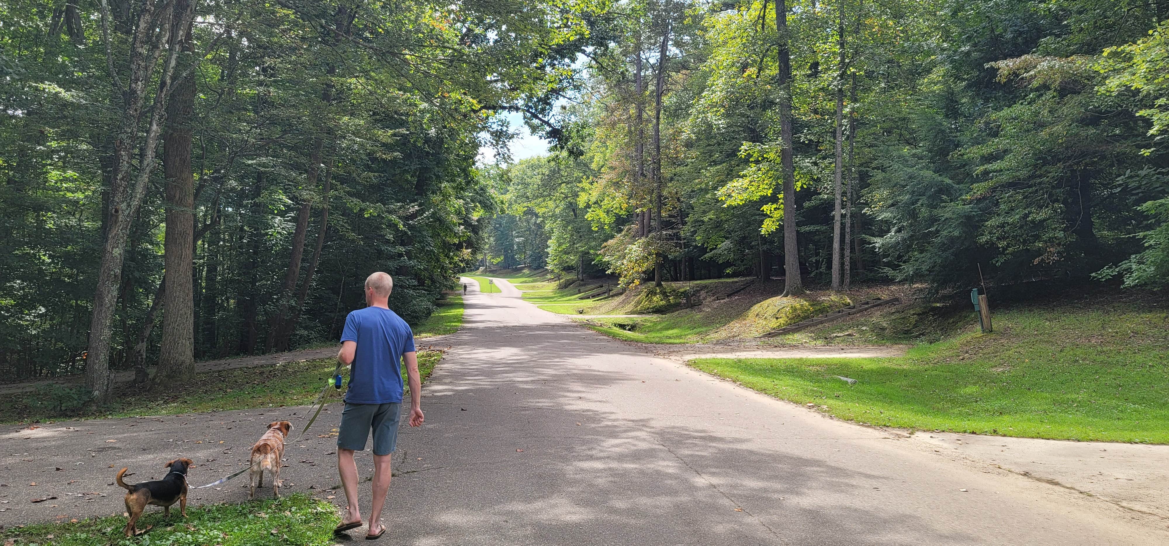 Amanda S.'s photo of camping with pets at Shawnee State Park Campground near Paint Creek Lake