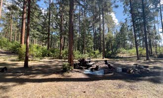 Camping near Overlook Campground: Borrego Mesa Campground, Truchas, New Mexico