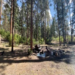 Borrego Mesa Campground