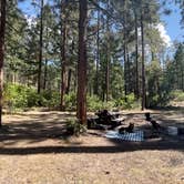 Review photo of Borrego Mesa Campground by Mac M., September 19, 2021