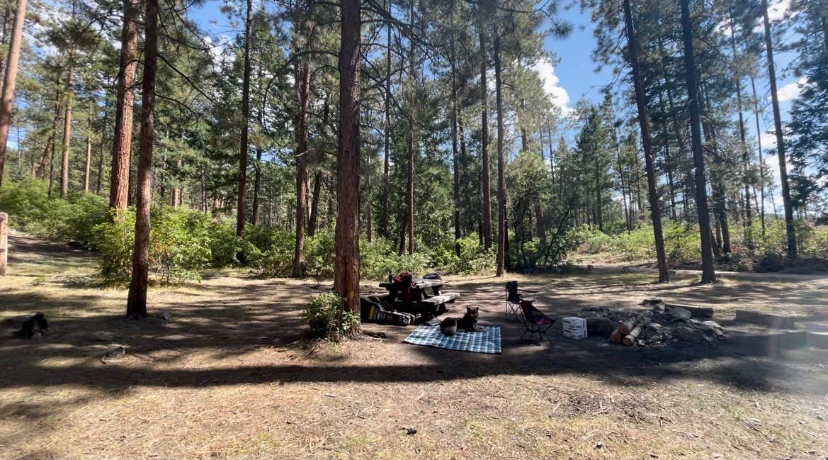 Camper submitted image from Borrego Mesa Campground - 2