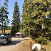 Review photo of Lakeview Campground by N I., September 19, 2021