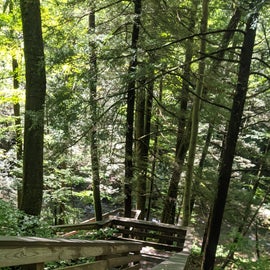 walkway at Holly State Park