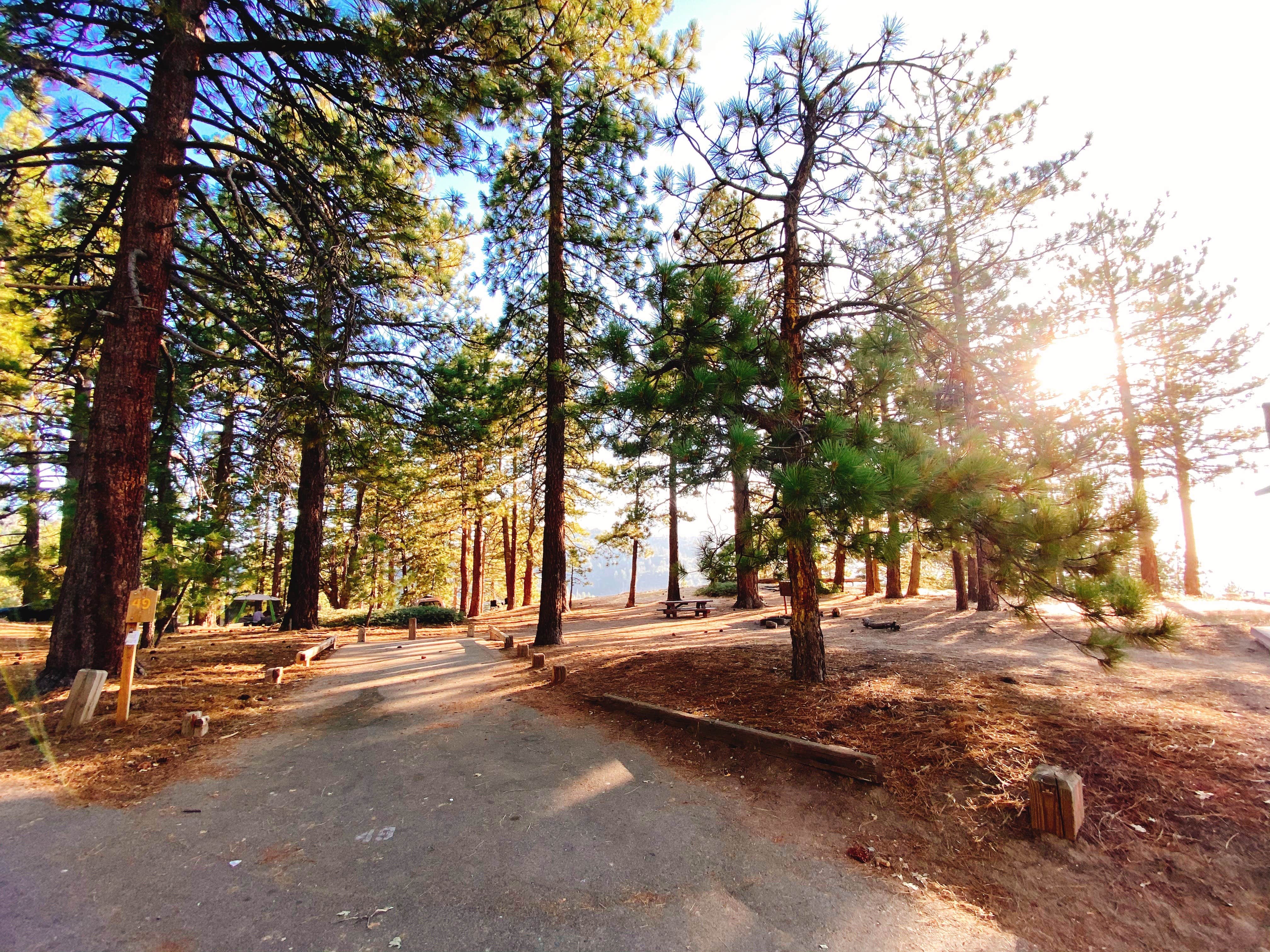Camper-submitted photo at Table Mountain Campground near Mount Baldy, CA