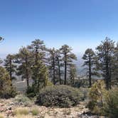 Review photo of Table Mountain Campground by Veronica H., September 19, 2021