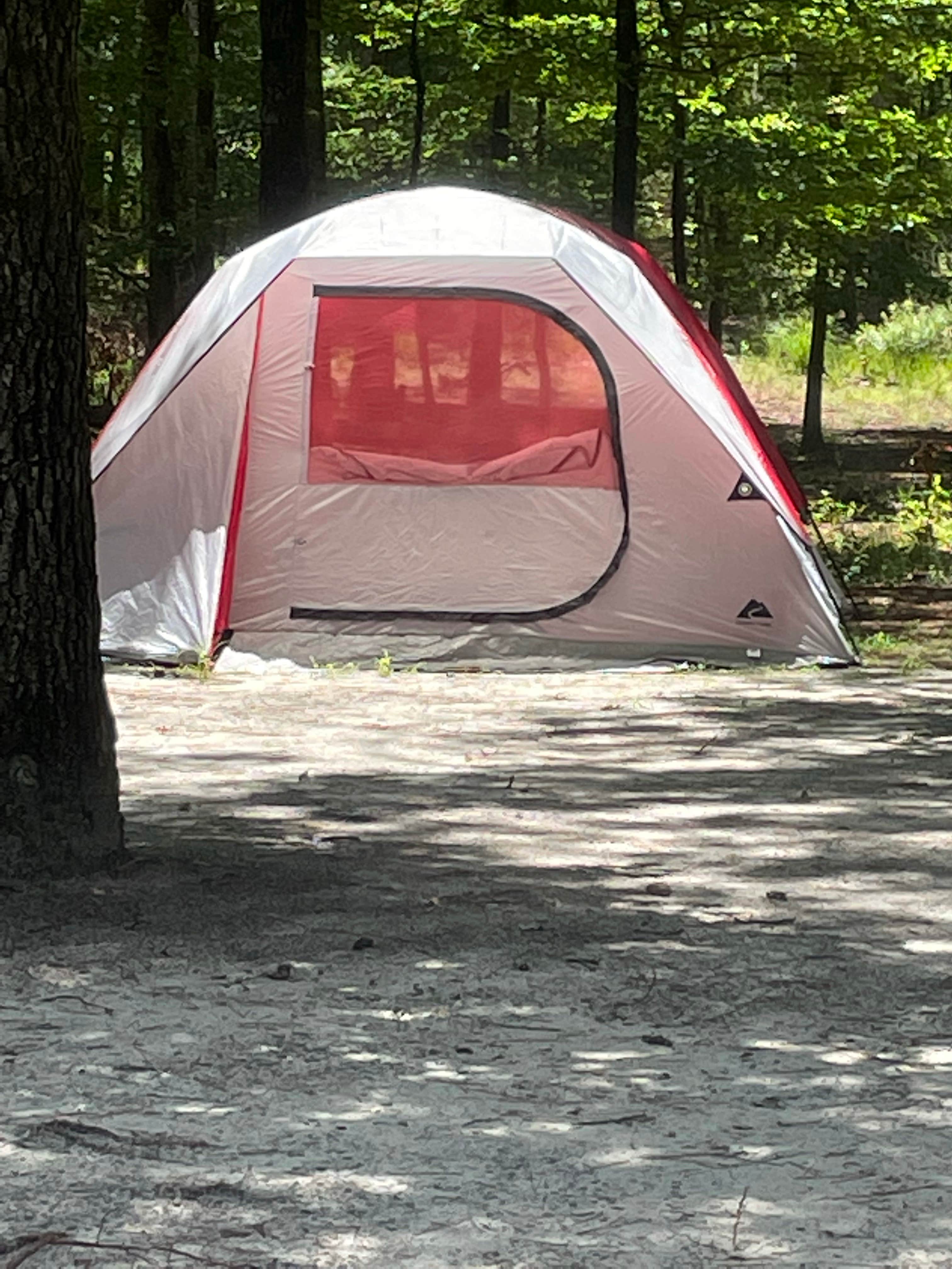 Stephanie J.'s photo at Goose Creek Campground near Emerald Isle, NC