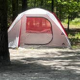 Review photo of Goose Creek Campground by Stephanie J., September 19, 2021