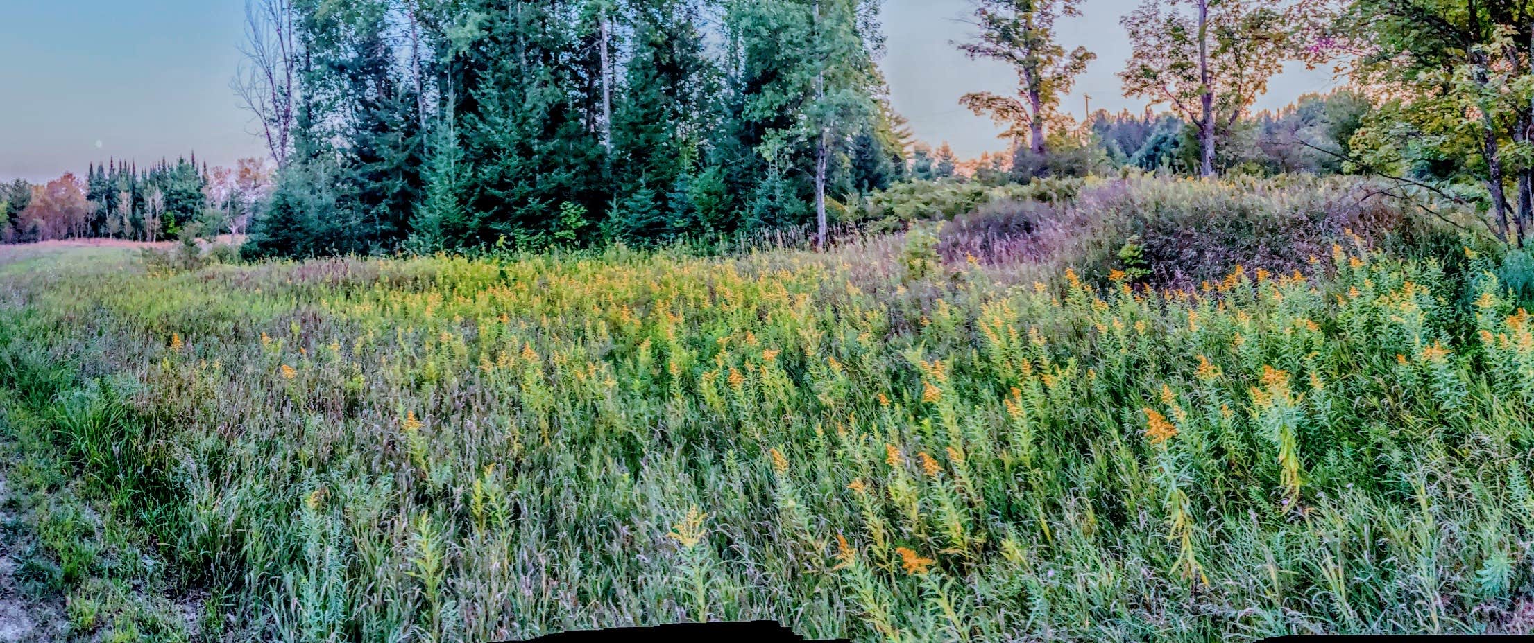 Camper-submitted photo at Haakwood State Forest Campground near Gaylord, MI