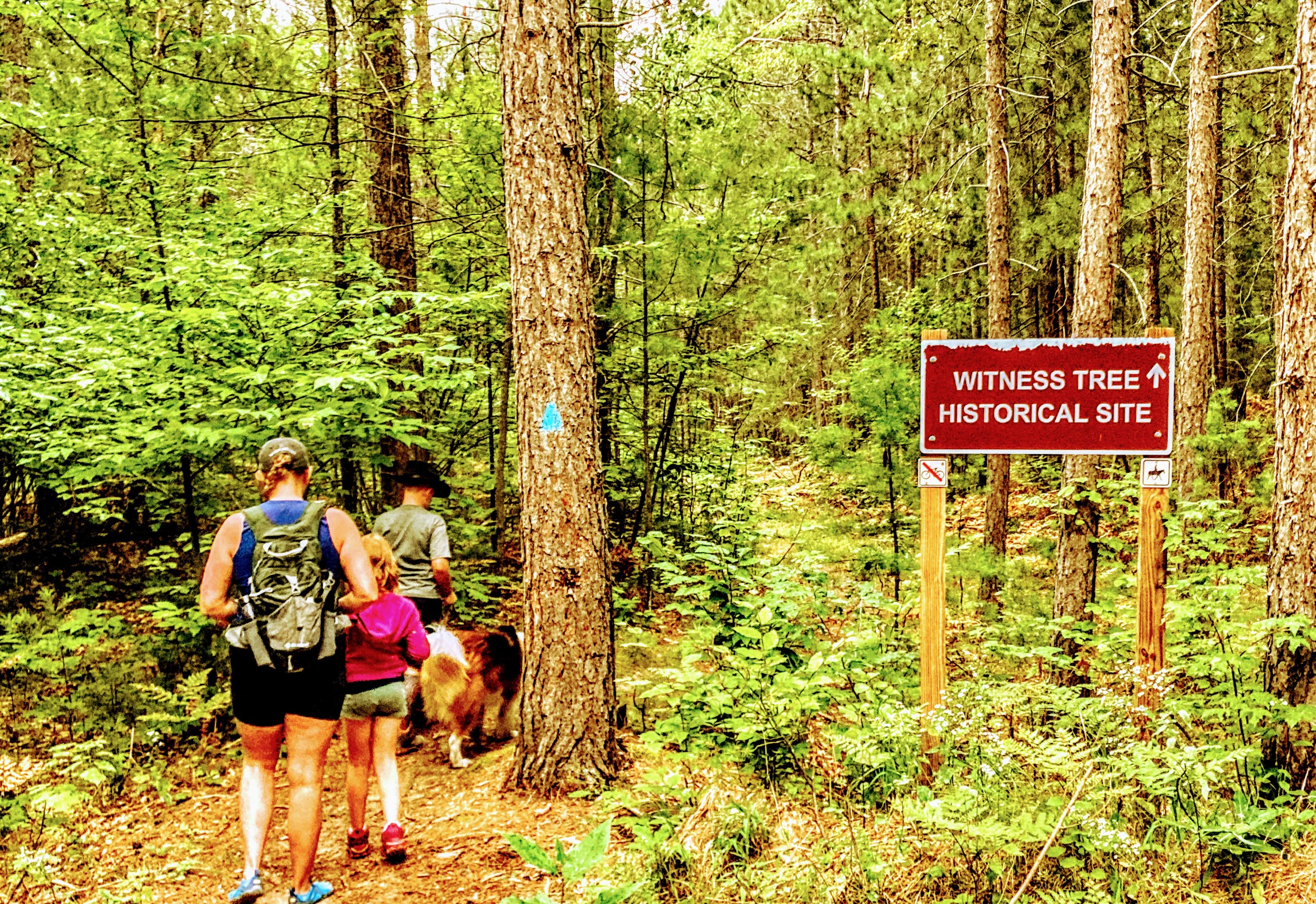 Ryan L T.'s photo of camping with pets at Haakwood State Forest Campground near Elmira, MI