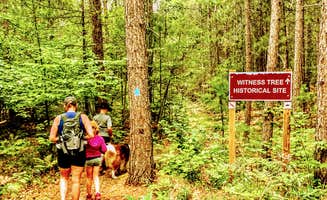 Ryan L T.'s photo of camping with pets at Haakwood State Forest Campground near Petoskey, MI