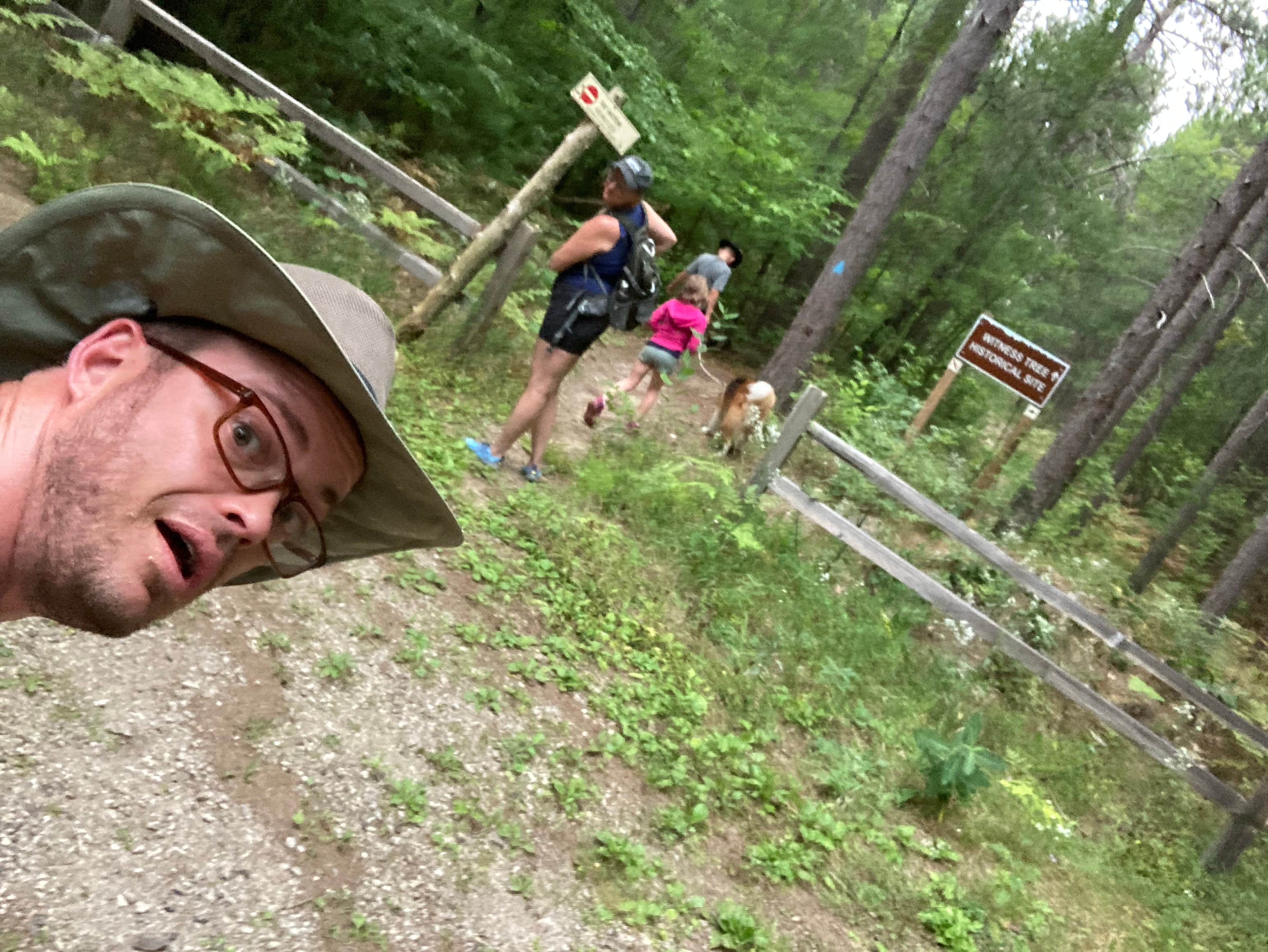 Ryan L T.'s photo of camping with pets at Haakwood State Forest Campground near Elmira, MI